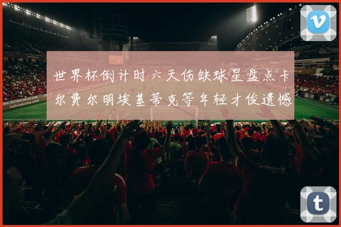 世界杯倒计时六天伤缺球星盘点卡尔费尔明埃基蒂克等年轻才俊遗憾缺席